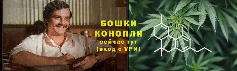 где продают наркотики  Любим  Каннабис LSD WEED 